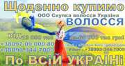 Вигідно купуємо волосся у Львові